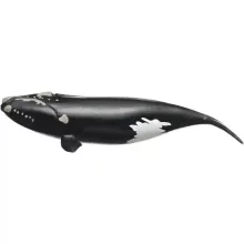 Schleich 14878 Északi simabálna