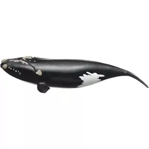 Schleich 14878 Északi simabálna