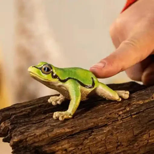 Schleich 14882 Európai zöld levelibéka