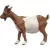 Schleich 14887 Kecske
