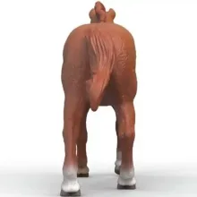 Schleich 14915 Angol telivér csődör