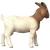 Schleich 14929 Búr kecske