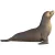 Schleich 14933 Oroszlánfóka
