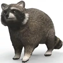 Schleich 14937 Mosómedve