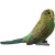 SCHLEICH 14939 Hullámos papagáj