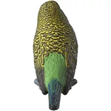 SCHLEICH 14939 Hullámos papagáj