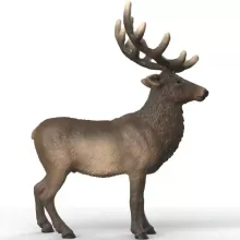Schleich 14992 Amerikai gímszarvas