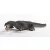 Schleich 15031 Nothosaurus