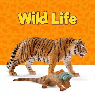 Wild Life - Vadvilág, vadállatok