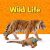 Wild Life - Vadvilág, vadállatok